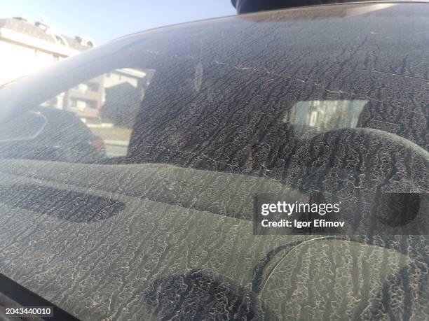 Messy Windscreen Muddy Windshield Photos and Premium High Res Pictures - Getty Images