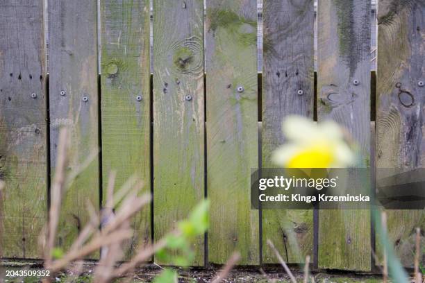 old garden fence - garden fence stock pictures, royalty-free photos & images