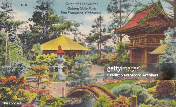 Vintage souvenir postcard published circa 1945 depicting historic Golden Gate Park, San Francisco, California, and the landscape of the Japanese Tea...
