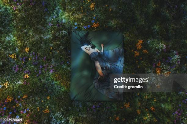 imagen onírica de una mujer durmiendo en el prado - onírico fotografías e imágenes de stock