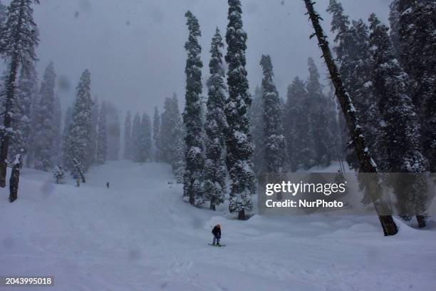 People are skiing down the slopes amid heavy snowfall at a ski resort in Gulmarg, Baramulla District, Indian Administered Kashmir, on March 1, 2024.