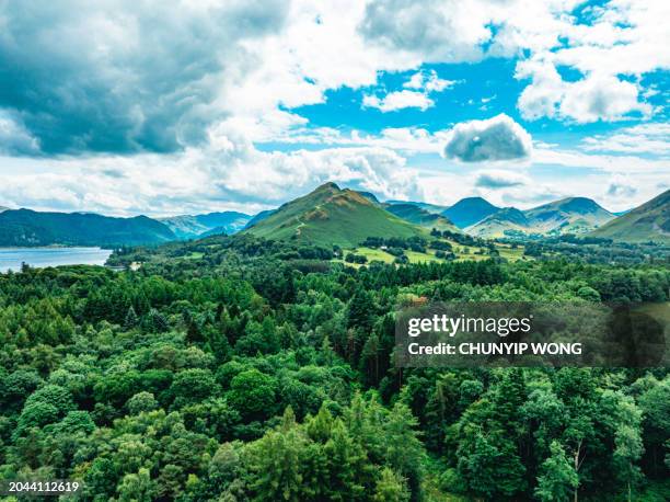 mountains and forests in lake district, uk - idyllic suburb stock pictures, royalty-free photos & images