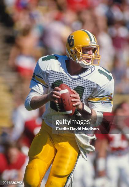 Bill Musgrave of the University of Oregon Ducks plays in a PAC-10 NCAA football game against the Stanford Cardinal on October 24, 1987 at Stanford...