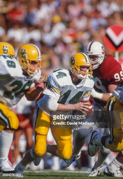 Bill Musgrave of the University of Oregon Ducks plays in a PAC-10 NCAA football game against the Stanford Cardinal on October 24, 1987 at Stanford...