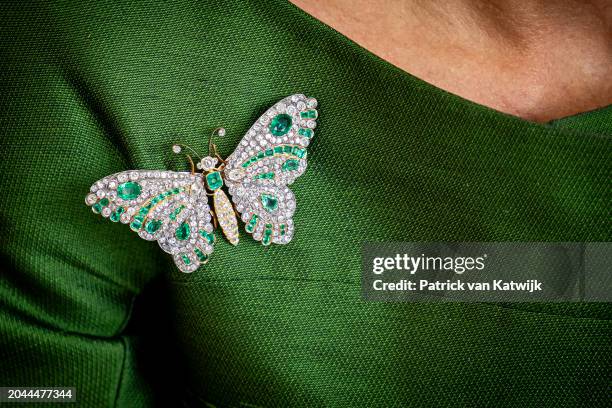 Queen Maxima of The Netherlands, brooch detail, visits the Central Bank on February 27, 2024 in Bogota, Colombia. Queen Maxima visits Colombia in her...