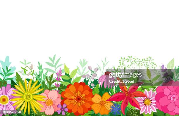 ilustrações de stock, clip art, desenhos animados e ícones de vector background with flowers and plants - canteiro de flores