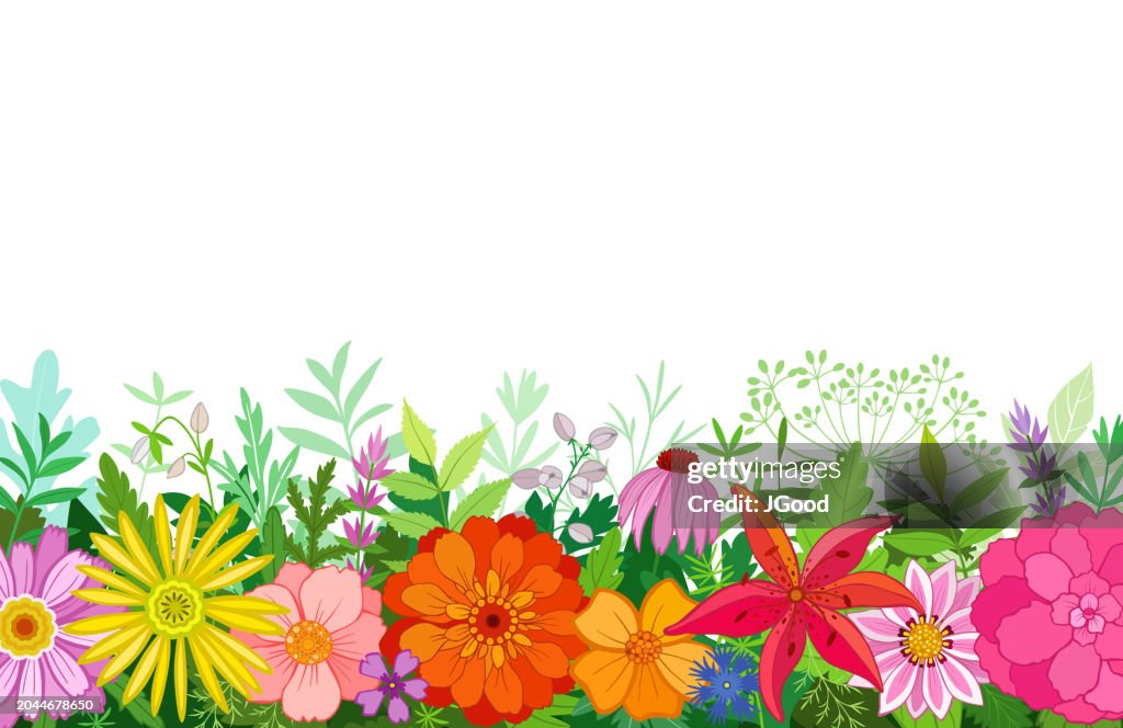 Vector background with flowers and plants