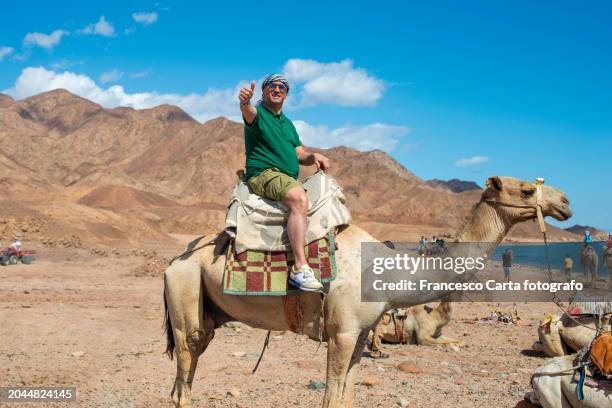 tourist riding a camel in the desert - chameau photos et images de collection