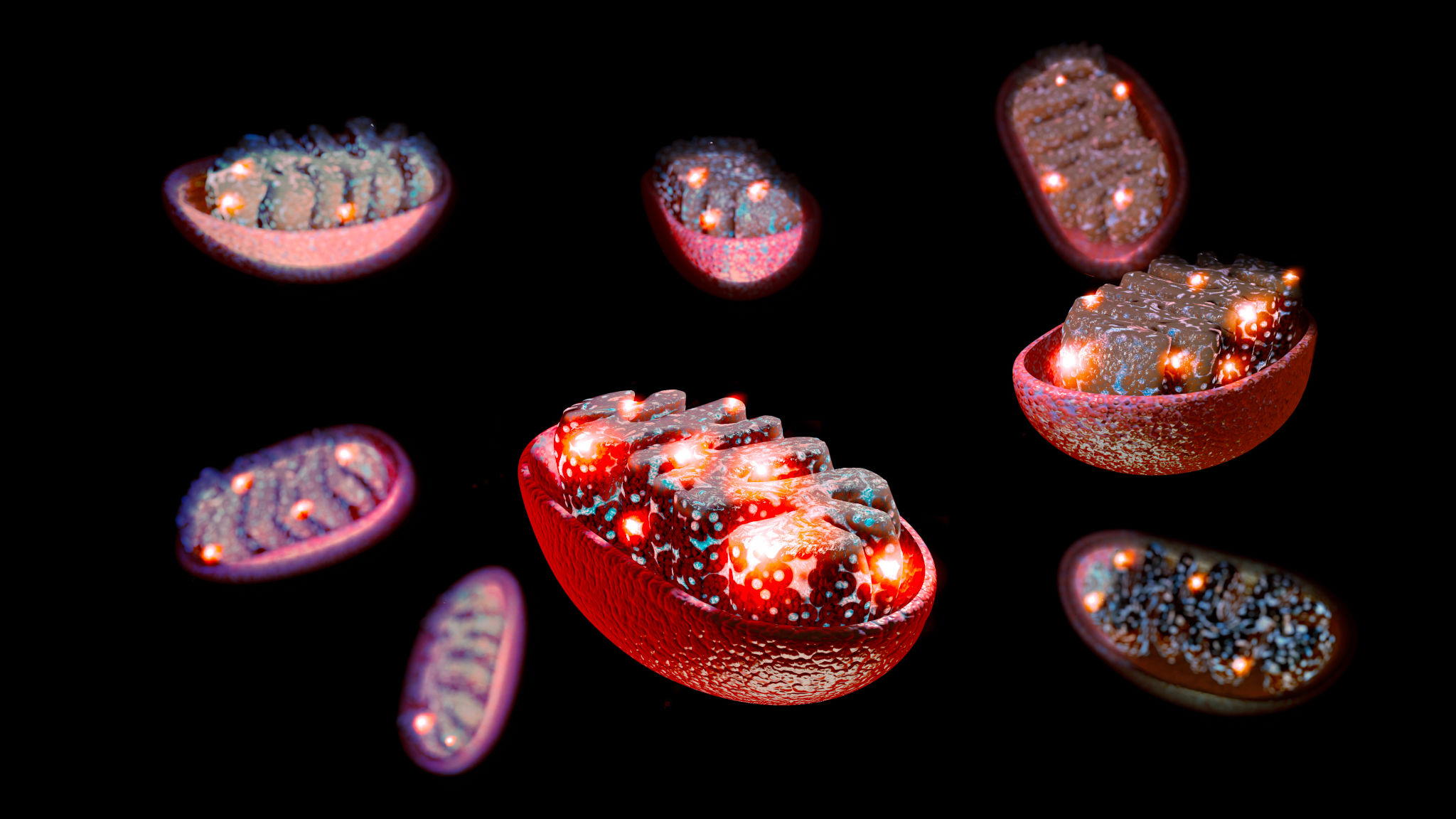 mitochondria health