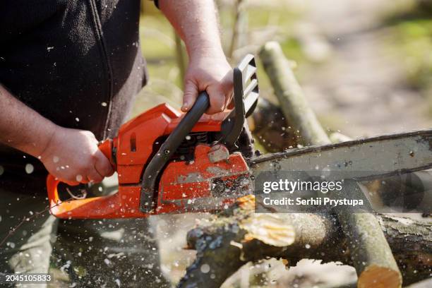 a man saws a tree in the garden with a chainsaw - elektrisch gereedschap stockfoto's en -beelden