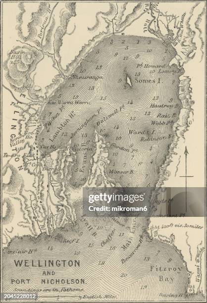 old chromolithograph map of wellington and port nicholson, new zealand - wellington new zealand harbour stock pictures, royalty-free photos & images