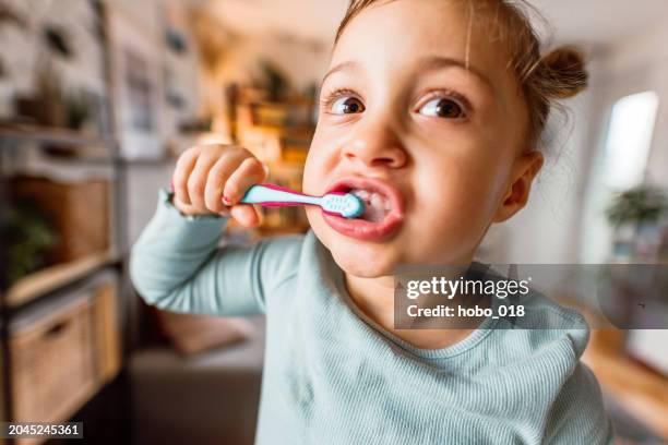 cute little girl brushing teeth at home in the morning - brushing teeth stock pictures, royalty-free photos & images