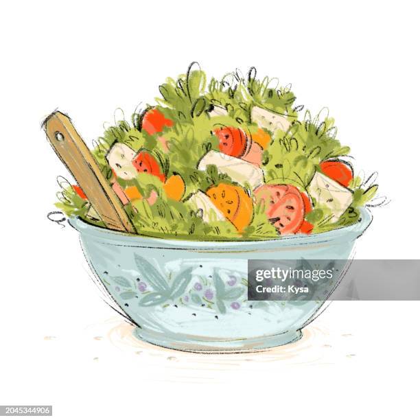 healthy salad sketch - tofu salad bowl stock illustrations