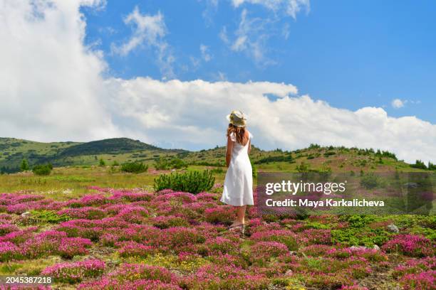 beautiful pregnant woman relaxing in meadow with pink flowers - valley of flowers uttarakhand stockfoto's en -beelden