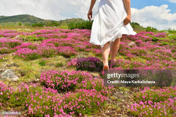 woman with white dress walking on meadow with pink flowers with bare feet, low section - barefoot stock pictures, royalty-free photos & images