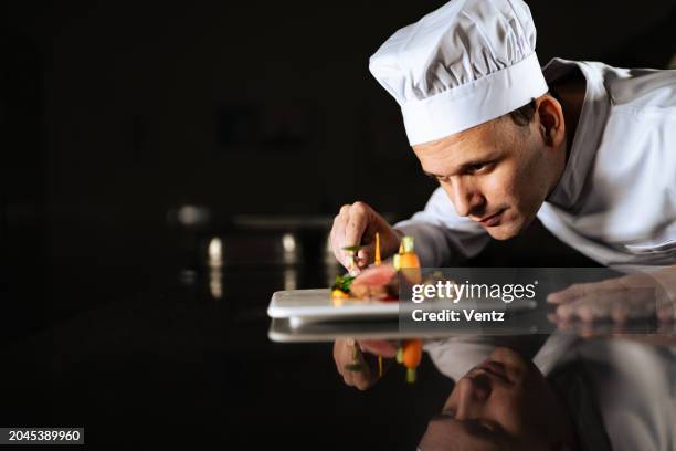 chef decorando un plato - comida gourmet fotografías e imágenes de stock
