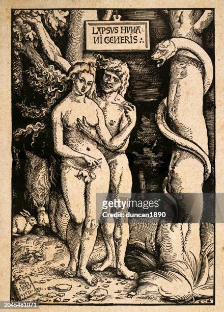 stockillustraties, clipart, cartoons en iconen met the fall of man, adam and eve with the serpent, after woodcut by hans baldung, german, 16th century art - temptation