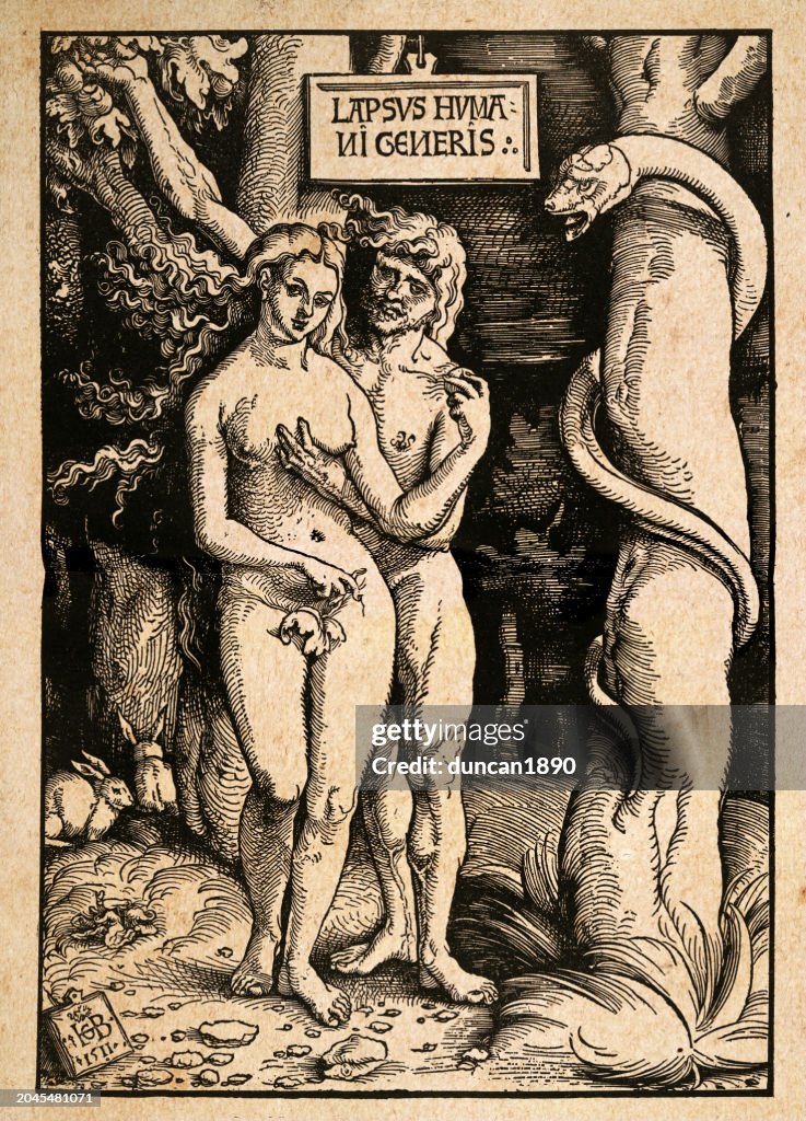 The Fall of Man, Adam and Eve with the serpent, after woodcut by Hans Baldung, German, 16th Century art
