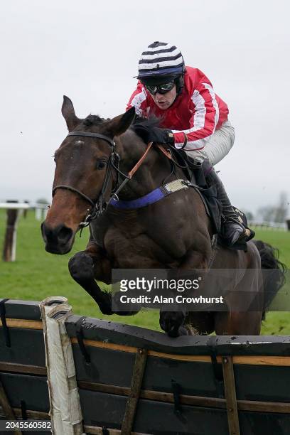 Stan Sheppard riding Passing Kate clear the last to win The Book Your Spring Raceday Hospitality Mares' Handicap Hurdle at Wincanton Racecourse on...