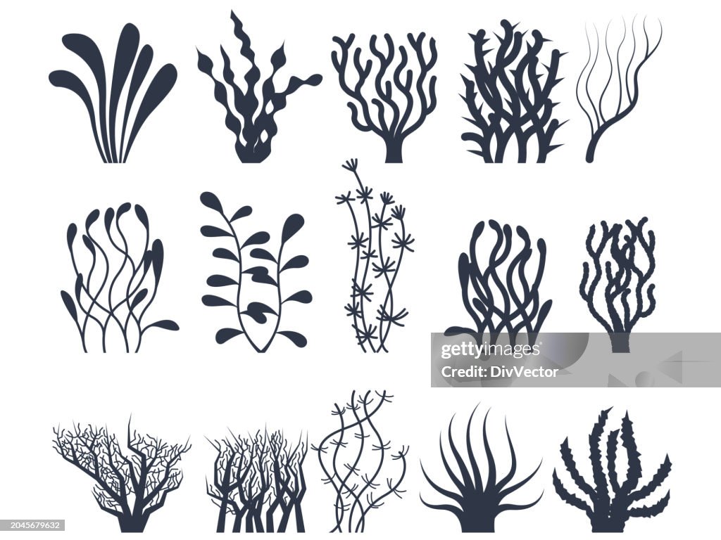 Under water plants vector set