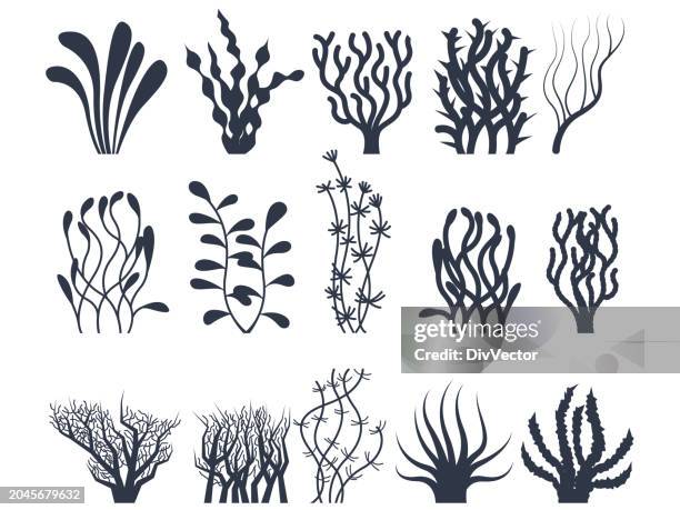 stockillustraties, clipart, cartoons en iconen met under water plants vector set - algae