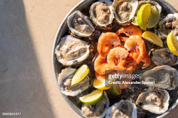 oysters and shrimps on ice served in a restaurant, directly above view - seafood platter stock pictures, royalty-free photos & images