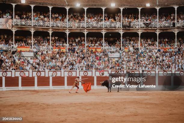Spanish bullfighter Jose María Manzanares performs in the arena at El Bibio on August 17, 2023 in Gijon, Spain.