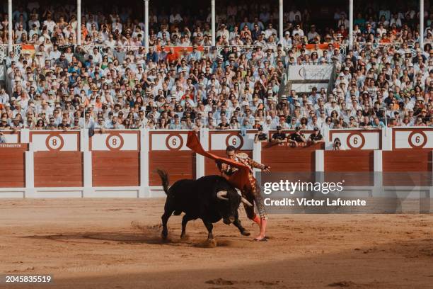 Spanish bullfighter Jose María Manzanares performs in the arena at El Bibio on August 17, 2023 in Gijon, Spain.