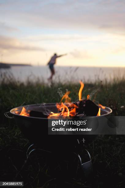 bbq fire pit - burnt beach stock pictures, royalty-free photos & images