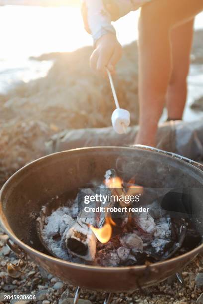 Marshmallows And Barbecue High-Res Stock Photo