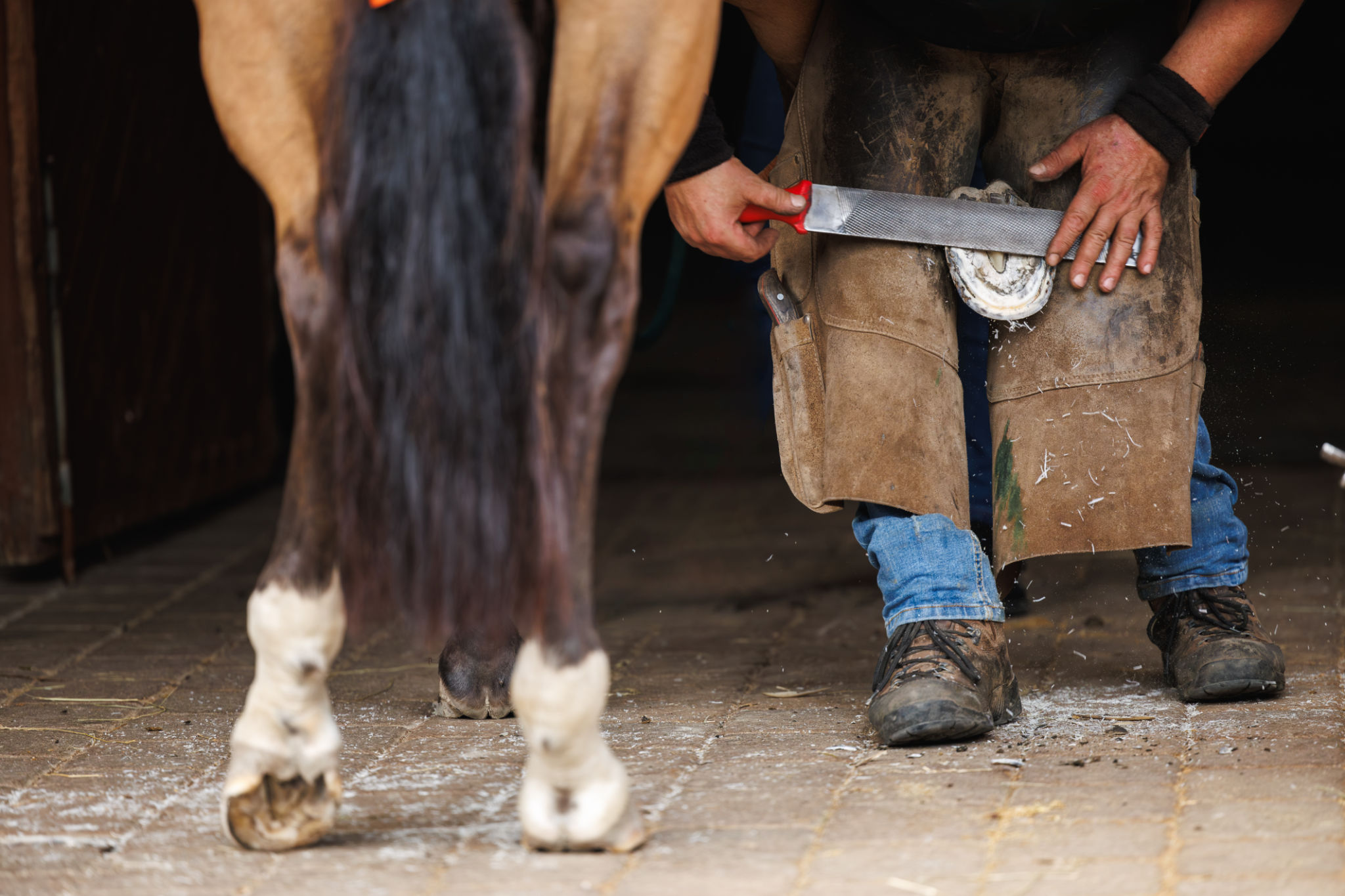 horse farrier
