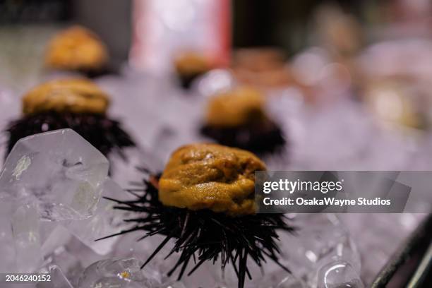 Fresh Roe Color Sea Urchin Color Photos and Premium High Res Pictures - Getty Images