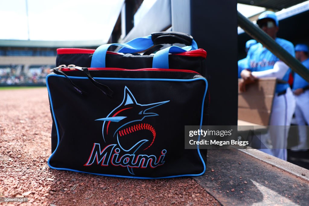 Houston Astros v Miami Marlins