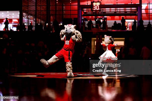 Mr. And Ms. Wuf, mascots of the NC State Wolfpack, perform during the game against the Syracuse Orange at Reynolds Coliseum on February 29, 2024 in...