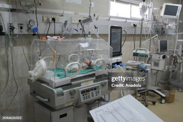 Baby, hospitalized due to malnutrition and dehydration, lie in an incubator at Kamal Adwan Hospital in Beit Lahia, Gaza on March 2, 2024....