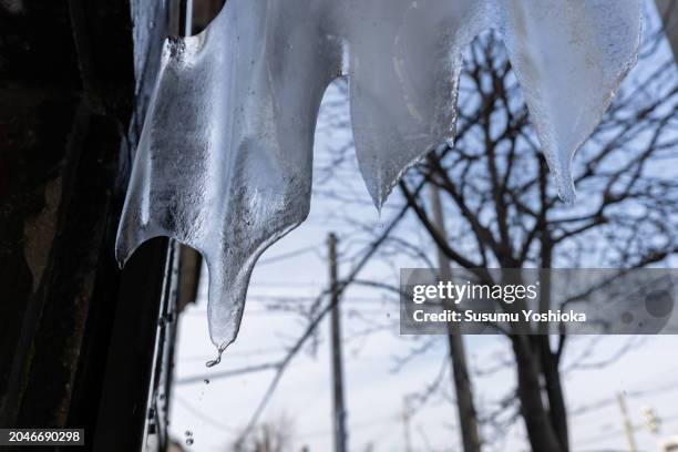 woman on a sightseeing trip to a snowy city on winter vacation. - 札幌市 stock-fotos und bilder