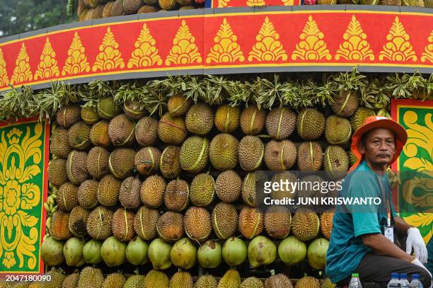 An Indonesian volunteer protects a towering stack of durians during the durian festival in Wonosalam village in Jombang, eastern Java Island on March...