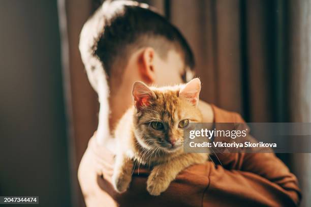 a boy holds a cat in his arms - kittens sleeping stock pictures, royalty-free photos & images