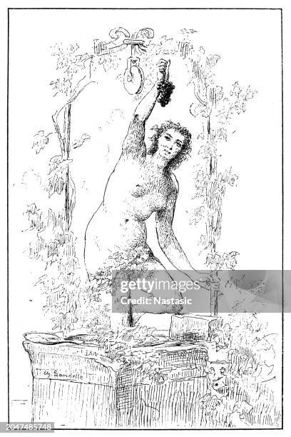 in vino veritas ,nude woman bare feet crushed grapes with grape juice - crush foot stock illustrations