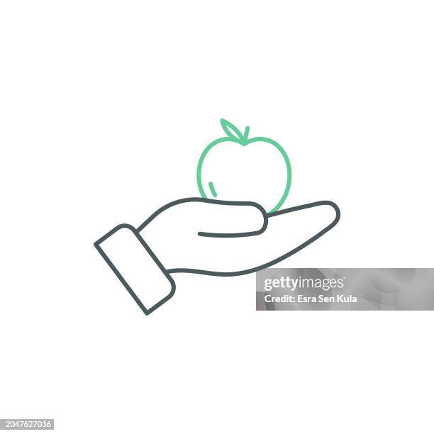 education duocolor line icon design with editable stroke. suitable for infographics, web pages, mobile apps, ui, ux, and gui design. - primary school maths stock illustrations
