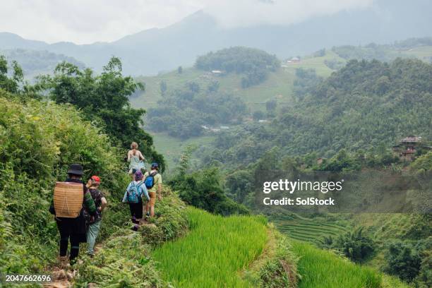sa pa tourist walk - sa pa stock pictures, royalty-free photos & images