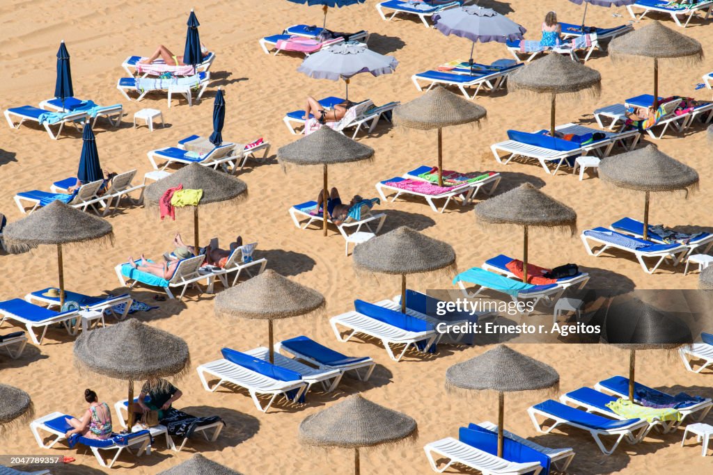 Umbrellas and hammocks on the beach