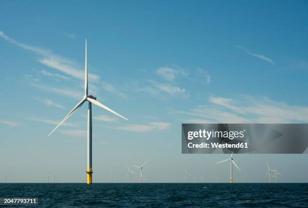 netherlands, zeeland, domburg, sky over offshore wind farm in north sea - north sea stock pictures, royalty-free photos & images