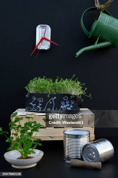 studio shot of diy sardine can clock hanging over cultivated watercress andceleriac - spice basket stock pictures, royalty-free photos & images