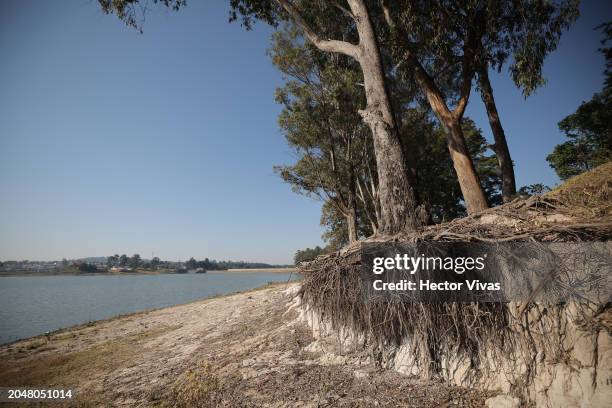 Trees that were previously on the shore of the Villa Victoria dam and their roots fed from the lake are now seen with the ground completely dry and...