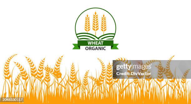 organic wheat field vector set - wheat field stock illustrations