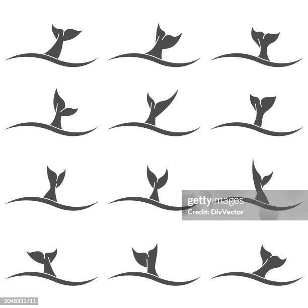 whale tail vector set - whale tail stock illustrations