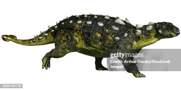 scolosaurus dinosaur, side view on white background - ankylosaurus stock illustrations