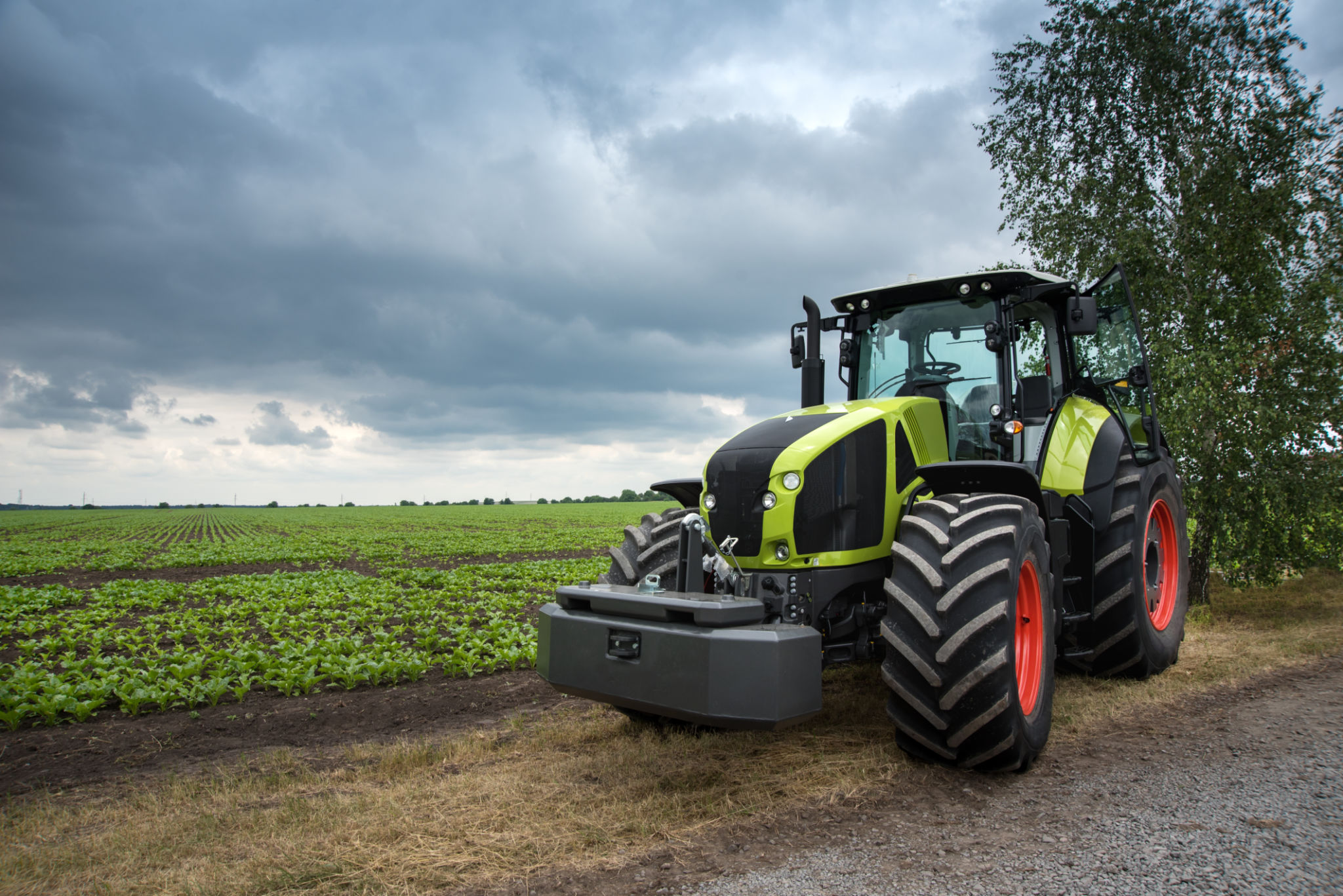 tractor field