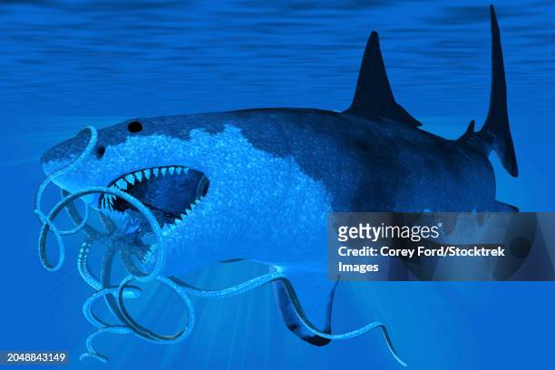 illustrazioni stock, clip art, cartoni animati e icone di tendenza di a massive megalodon shark tries to eat a giant octopus - megalodon